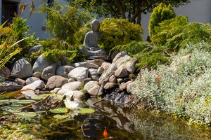Buddha statue pond Lindholme Hall Buddha statue next to a small pond in the courtyard at Buddhist Centre Gomde UK.