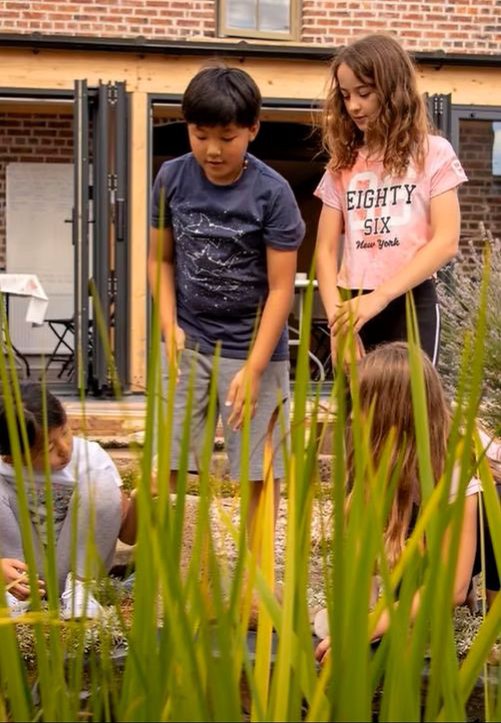Children playing at a lotus pond in the courtyard.