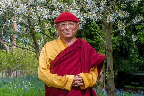 Chokyi Nyima Rinpoche at Gomde UK in the Spring with blossom trees.