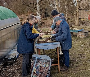 Group of people in warm coats working around a table outside, propagating mosses.