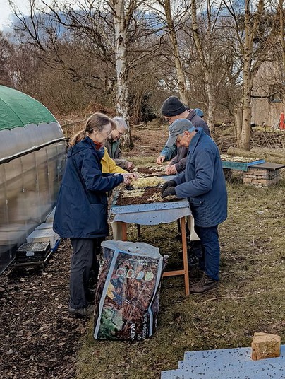 Group of people in warm coats working around a table outside, propagating mosses.