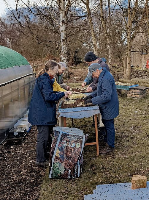 Group of people in warm coats working around a table outside, propagating mosses.