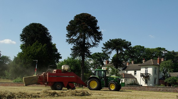 Hay baling volunteers Tractor doing hay baling as a volunteer job in the gardens of Buddhist centre Gomde UK.