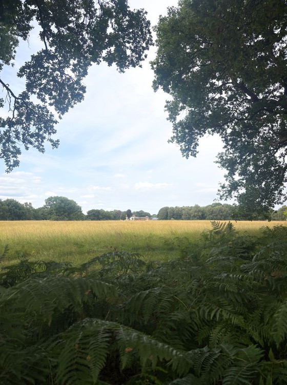Green fields with Lindholme Hall in the distance.