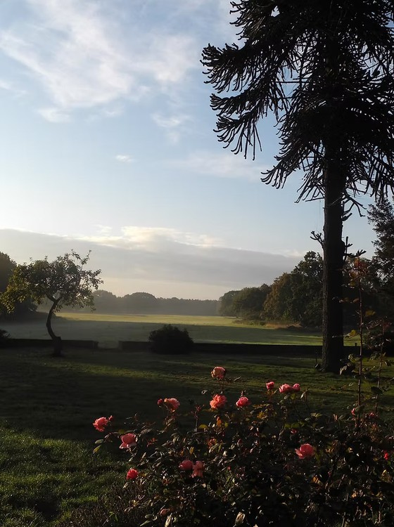 Gomde UK outdoor view Misty early morning view of the fields surrounding Gomde UK, Yorkshire, England.