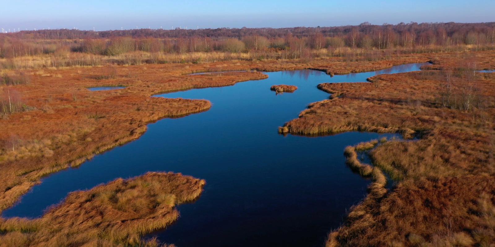 Drone photograph of the peatlands of the Hatfield Moors in South Yorkshire.