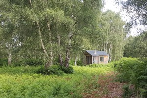 Solitary Retreat Hut in beautiful serene woodland settings near Doncaster, Yorkshire, England.
