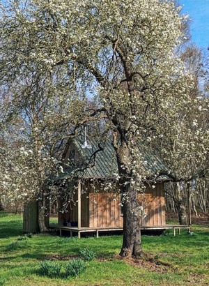 Solitary meditation retreat hut with spring blossom trees in Yorkshire, England, UK.