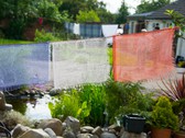 Buddhist prayer flags