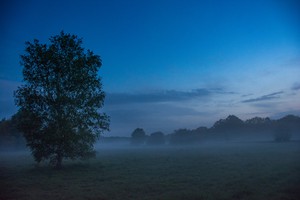 Misty early morning views over a field at Buddhist Meditation and Retreat Centre.