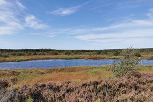 Blue lake and sky at Doncaster's peatlands.
