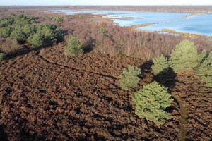 Lindholme Hall's 180-acre estate includes 60 cares of rare uncut peat land, and is managed under a conservation stewardship agreement.