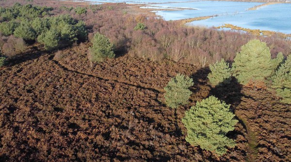 Lindholme Hall's 180-acre estate includes 60 cares of rare uncut peat land, and is managed under a conservation stewardship agreement.